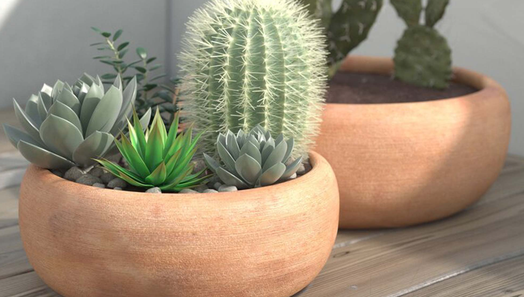 Unique Plant Pots for Your Beautiful Flowers